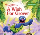 Imagine... A Wish for Grover