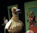 Pigeon-Holed