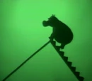 Guest puppeteers on The Muppet Show