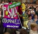 The Rosie O'Donnell Show on Sesame Street