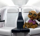 Air New Zealand