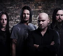 Disturbed