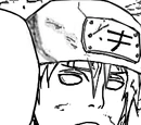 Arashihogo
