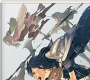 Fire Emblem: Awakening