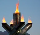 Winter Olympic Games