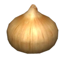 Onion Replica
