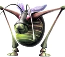 Antenna Beetle