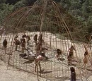 Stockade