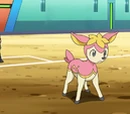 Dino's Deerling