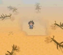 Giant Chasm