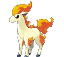 Ponyta