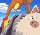 Primeape Asha
