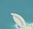 Togetic Misty