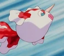 Goldeen Misty