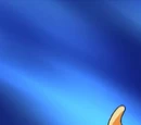 Charizard Asha