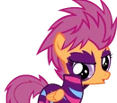 C SCOOT