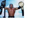 Triple H/Event history
