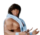 Rick Martel