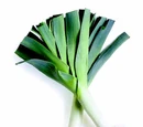Leek