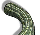 Cushaw