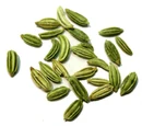 Fennel seed