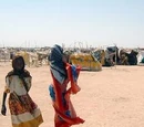 Chadian Cuisine