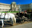Austrian Cuisine