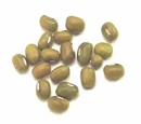 Mung bean