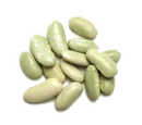 Kidney bean