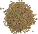 Fenugreek