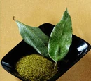 Lemon myrtle
