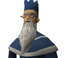 Wise Old Man
