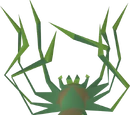 Spider carcass
