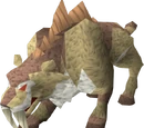 Spirit kyatt