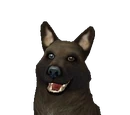 Pack leader