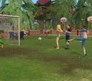 Sports