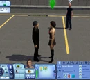 Socializing in The Sims 3 era