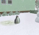 Penguin