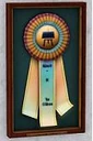 Award ribbon.jpg