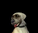 Deceased pets (fanon)