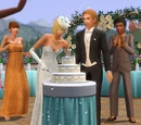 The Sims 3: Generations