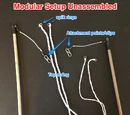 Modular Tri-String Loop
