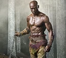 Oenomaus