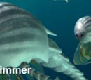 Silverswimmer