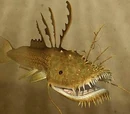 Lurkfish
