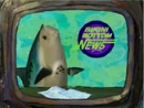Fishhead.jpg