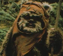 Ewok