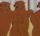 Bear