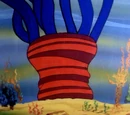Sea anemone