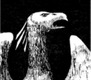 Phoenix (The Bird of Fire)